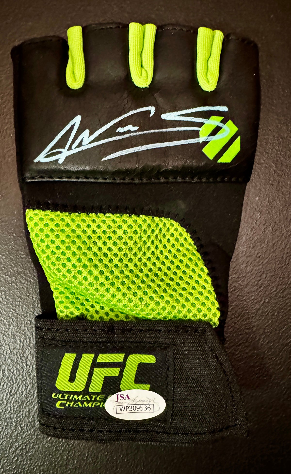 Amanda Nunez Autographed UFC Glove, JSA SOA